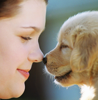 Lady and puppy rubbing noses