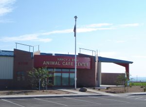 the animal care center with sign about its large windows